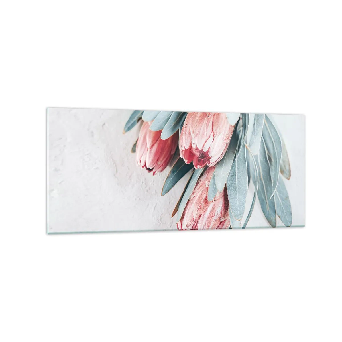 Quadro su vetro - Delicati fiori di protea rosa su uno sfondo chiaro - 120x50cm - Imbarazzati per la propria bellezza - Decorazione murale moderna per soggiorno e camera da letto ARTTOR