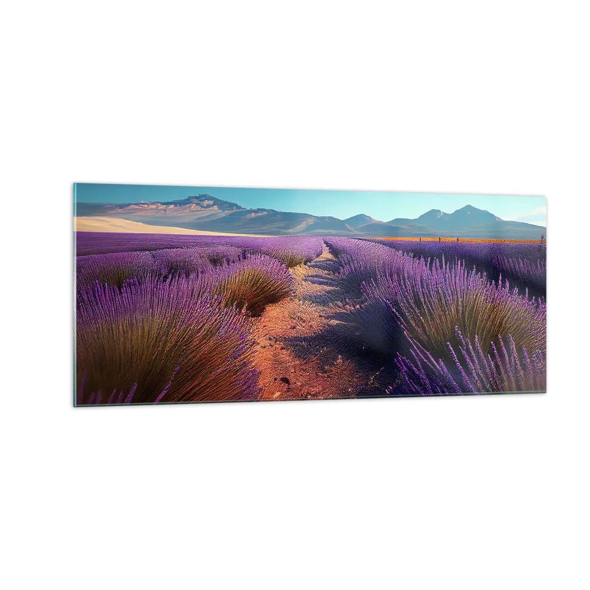 Quadro su vetro - Campi profumati - 100x40 cm