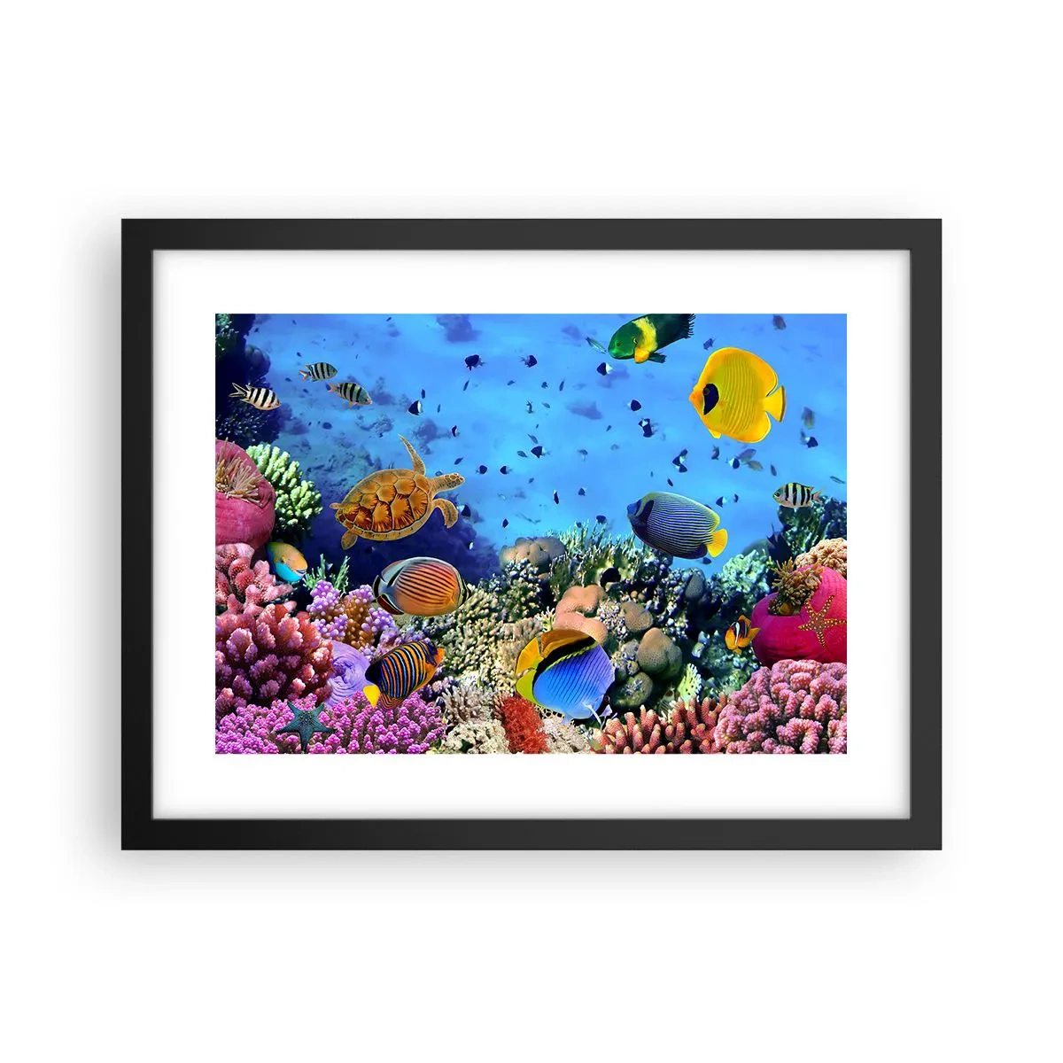 Poster in cornice nera - Ma cosa sappiamo della vita... - 40x30 cm