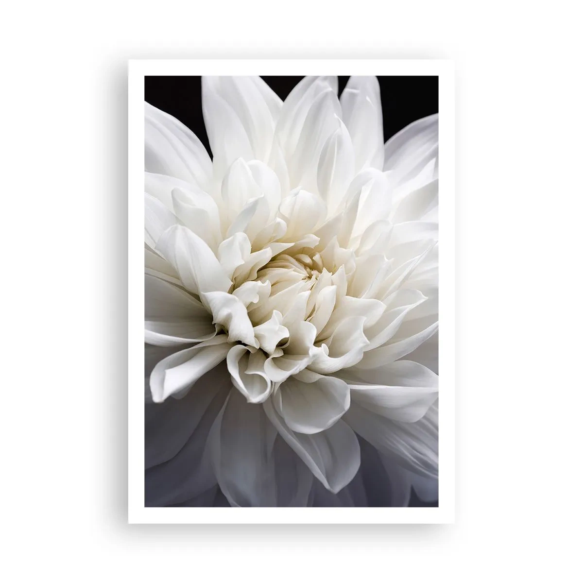 Poster - Il mattino della sposa - 70x100 cm