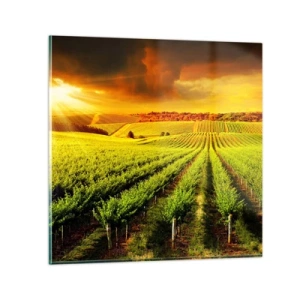 Quadro su vetro - Sotto il sole dell'Australia - 30x30 cm