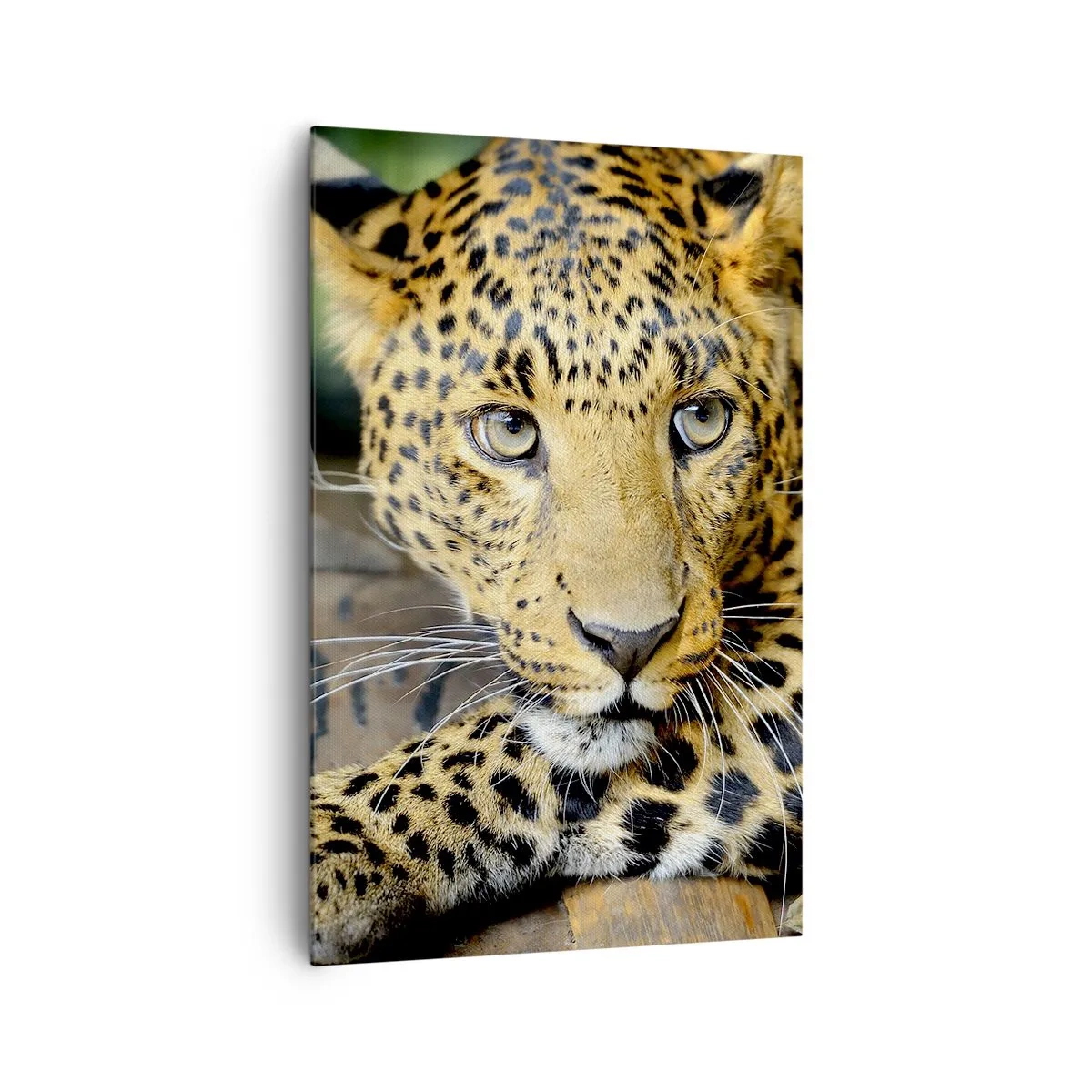 Quadro su tela - Stampe su Tela - Ritratto di un leopardo nel suo ambiente naturale - 80x120cm - Non temere, avvicinati - Decorazione murale moderna per soggiorno e camera da letto ARTTOR