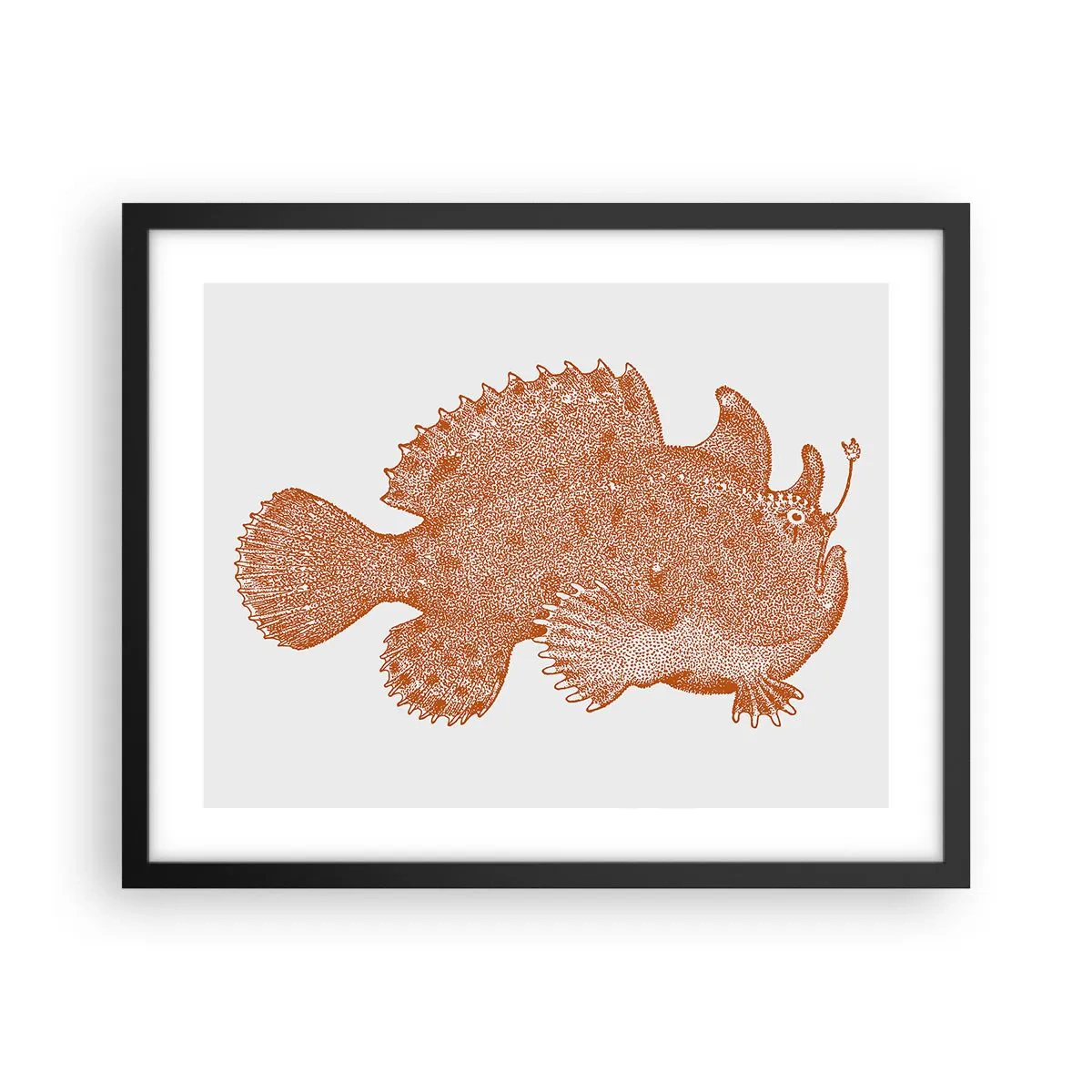 Poster in cornice nera - È davvero un pesce - 50x40 cm
