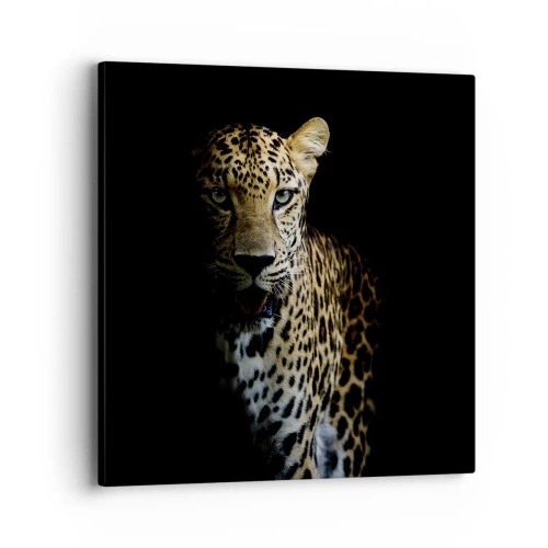 Quadro su tela - Stampe su Tela - Bellezza tenebrosa - 40x40 cm