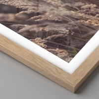 Rovere chiaro