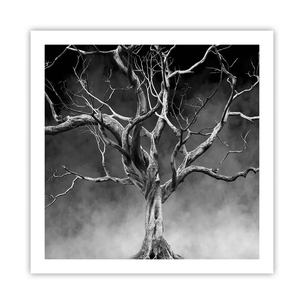 Poster - Primordiale e sacro - 60x60 cm