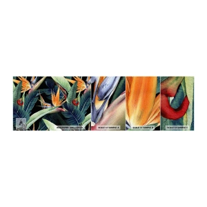 Campione di Fotomurale Adesivo Deluxe Sticker - I fiori fiammeggianti dei tropici - Strelitzia Reale, Fiore, Africa - 100x30 cm