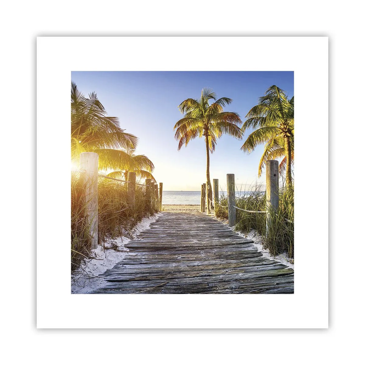 Poster - Dritto in paradiso - 30x30 cm