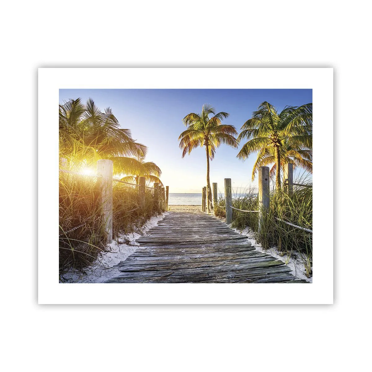Poster - Dritto in paradiso - 50x40 cm
