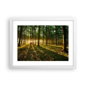 Poster in cornice bianca - La foto di ogni primavera - 40x30 cm