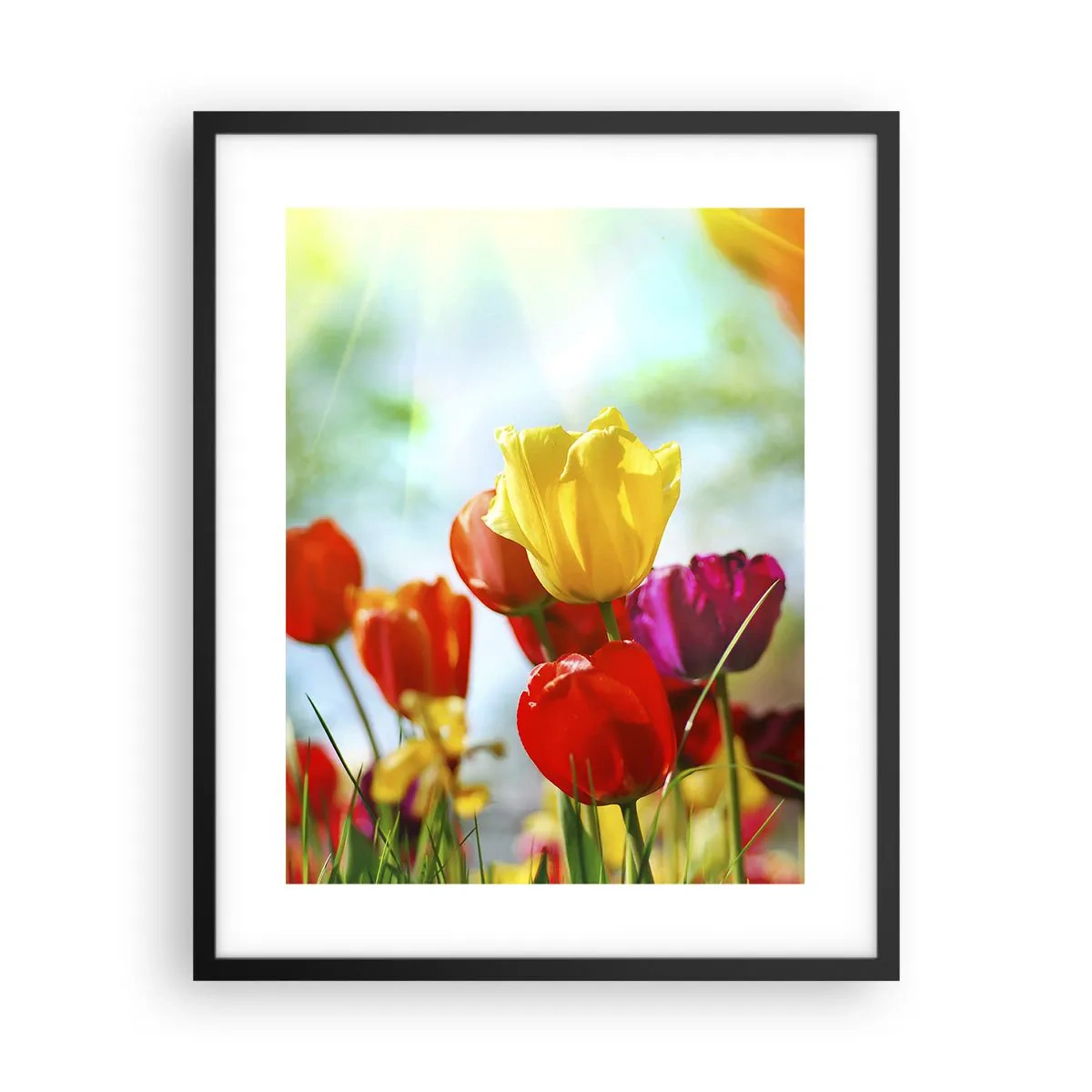 Poster in cornice nera - Tutti i colori del sole - 40x50 cm