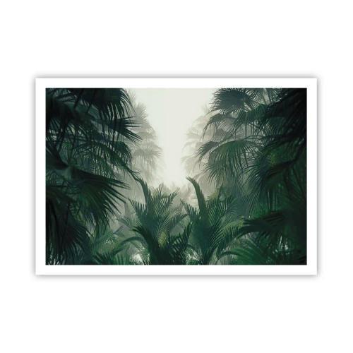 Poster - Vegetazione tropicale nella fitta nebbia della foresta pluviale - 100x70cm - Mistero dei tropici - Decorazione murale moderna per soggiorno e camera da letto ARTTOR