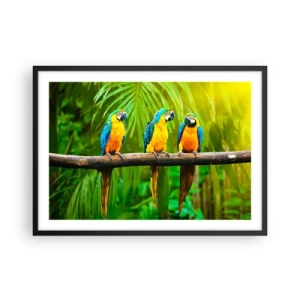 Poster in cornice nera - Tre pappagalli colorati su uno sfondo di vegetazione tropicale - 70x50cm - Hai sentito che ha fatto? - Decorazione murale moderna per soggiorno e camera da letto ARTTOR