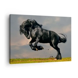 Quadro su tela - Stampe su Tela - Un cavallo oscuro in un salto dinamico contro il cielo - 70x50cm - Libero e bello - Decorazione murale moderna per soggiorno e camera da letto ARTTOR