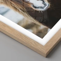 Rovere chiaro