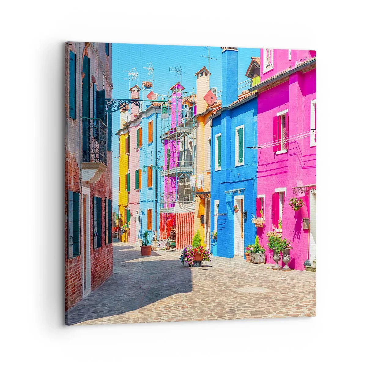 Quadro su tela - Stampe su Tela - La cittadina dei pappagalli - 50x50 cm