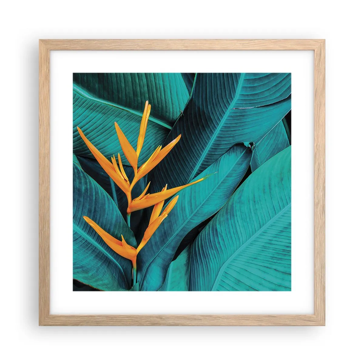 Poster in cornice rovere chiaro - Il fiore dell'Eden - 40x40 cm