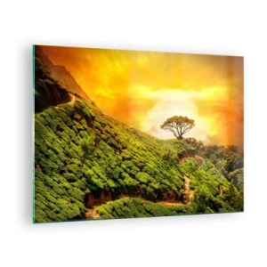 Quadro su vetro - Colline verdi con un albero solitario al tramonto - 70x50cm - Sentiero tortuoso, pendio verde - Decorazione murale moderna per soggiorno e camera da letto ARTTOR
