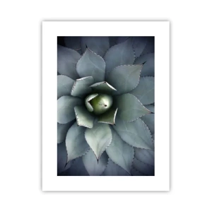 Poster - Adesca e minaccia - 30x40 cm