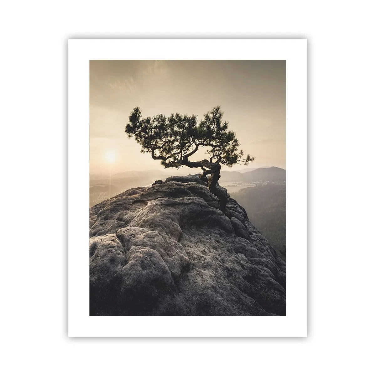 Poster - La vita vince sempre - 40x50 cm
