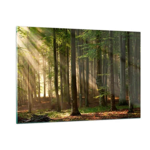 Quadro su vetro - Raggi di sole che brillano attraverso gli alberi nella foresta - 120x80cm - Raggiante in un mattino di primavera - Decorazione murale moderna per soggiorno e camera da letto ARTTOR
