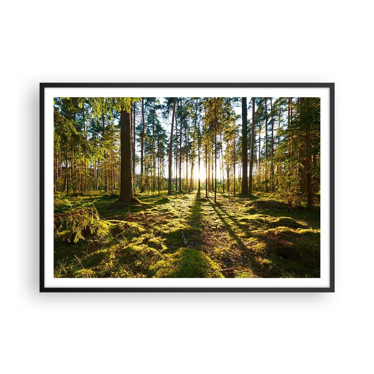 Poster in cornice nera - Foresta verde illuminata dalla luce del sole sul muschio - 100x70cm - …dopo sette foreste - Decorazione murale moderna per soggiorno e camera da letto ARTTOR