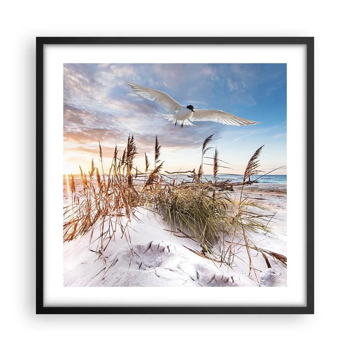 Poster in cornice nera - Vento dal mare - 50x50 cm