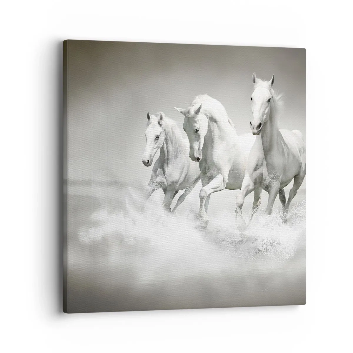 Quadro su tela - Stampe su Tela - Estasi bianca - 40x40 cm