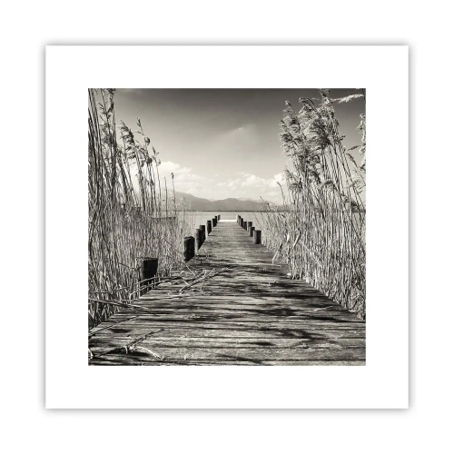 Poster - Nel silenzio dell'erba - 30x30 cm