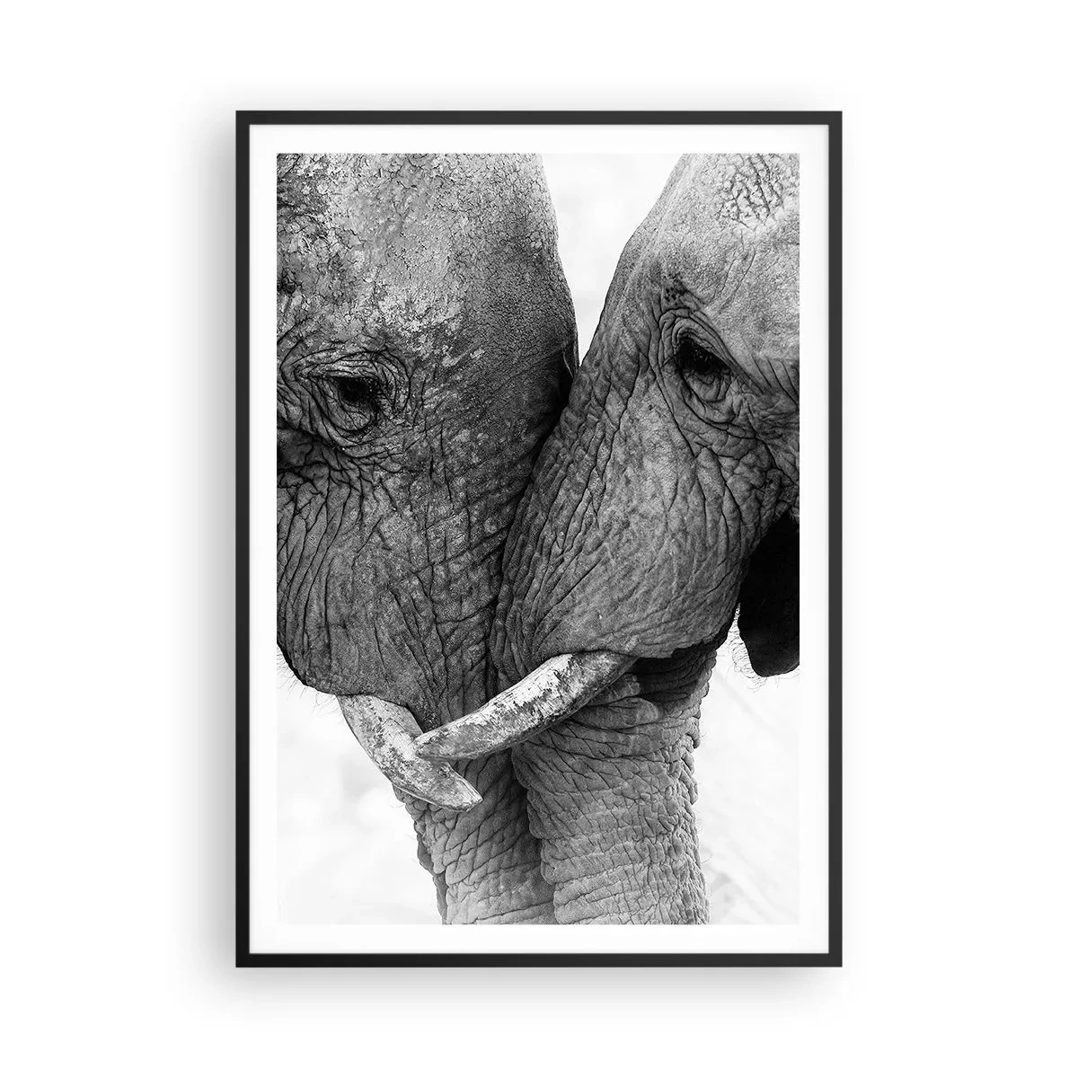 Poster in cornice nera - Dichiarazione sincera - 70x100 cm