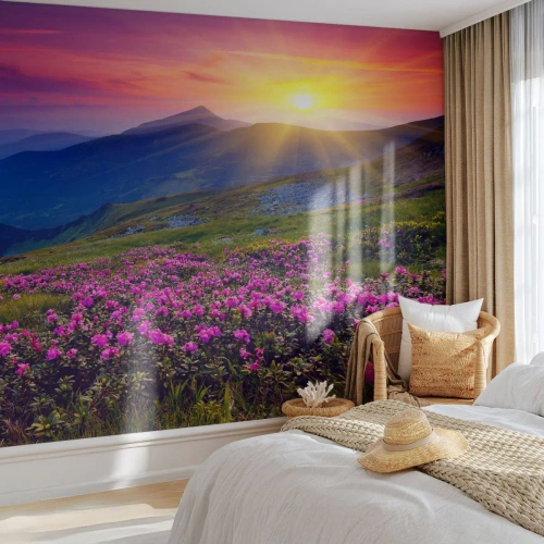 Fotomurali Standard Eco - Odore di mugo e profumo di erbe - Paesaggio, Montagne, Tramonto - 200x140 cm