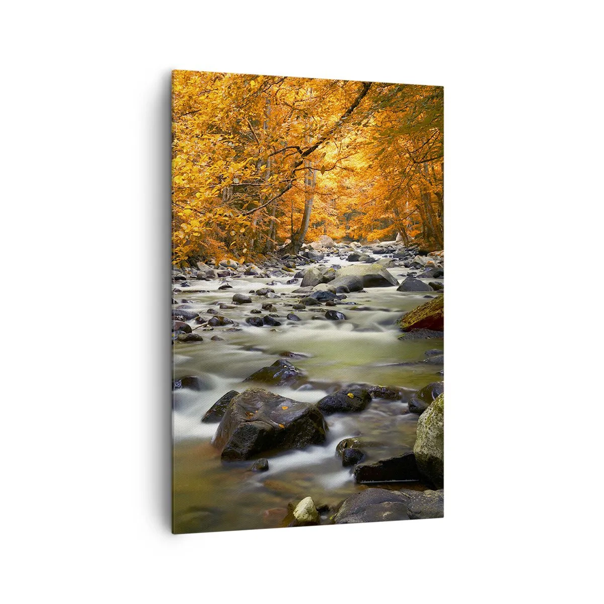 Quadro su tela - Stampe su Tela - Un ruscello in una foresta autunnale circondato da foglie dorate - 80x120cm - Ruscello nel bosco dorato - Decorazione murale moderna per soggiorno e camera da letto ARTTOR