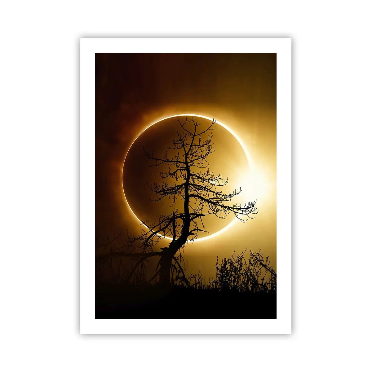 Poster - Un tramonto fenomenale con un albero in primo piano - 50x70cm - Eclissi totale - Decorazione murale moderna per soggiorno e camera da letto ARTTOR