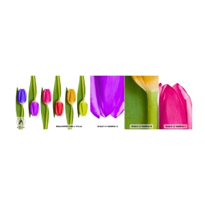 Campione di Fotomurale Adesivo Deluxe Sticker - Composizione arcobaleno - Fiori, Tulipani, Natura - 100x30 cm