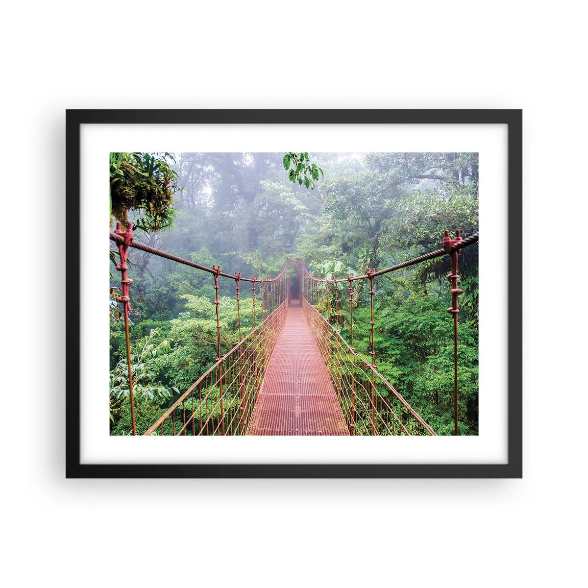 Poster in cornice nera - Sospeso sopra gli alberi - 50x40 cm