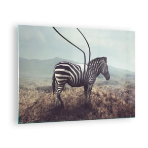 Quadro su vetro - Zebra su sfondo di erba con dettagli surreali dell'antenna - 70x50cm - Attenzione! Difetto - Decorazione murale moderna per soggiorno e camera da letto ARTTOR