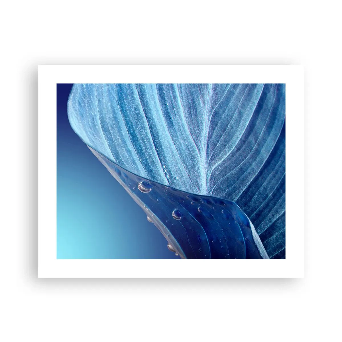 Poster - Gocce di blu nascoste - 50x40 cm