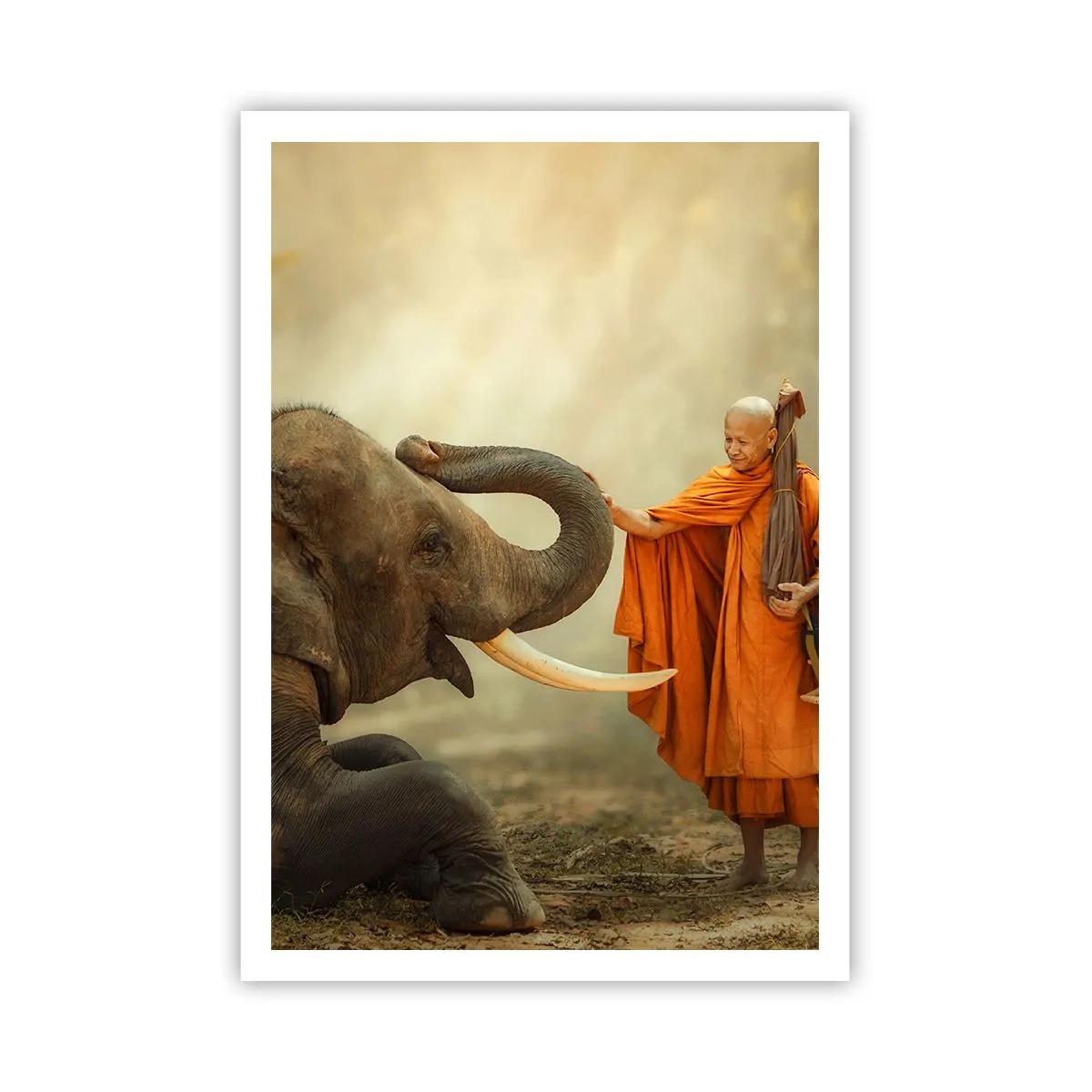 Poster - Incontro nel viaggio - 70x100 cm