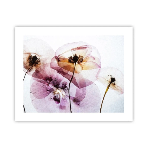 Poster - Fiori trasparenti - 50x40 cm