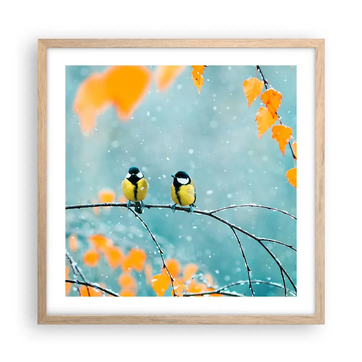 Poster in cornice rovere chiaro - Pettegolezzi alati - 50x50 cm