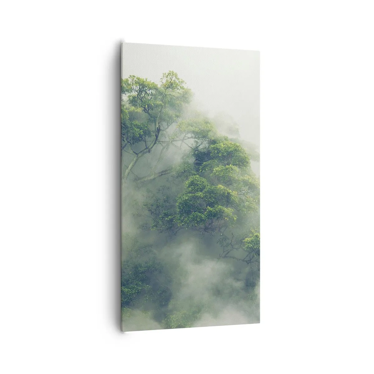 Quadro su tela - Stampe su Tela - Avvolti dalla nebbia - 65x120 cm