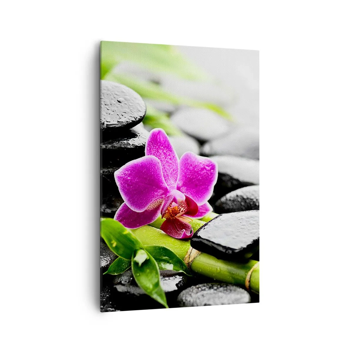 Quadro su tela - Stampe su Tela - Orchidea viola, pietre nere e bambù in una composizione tranquilla - 80x120cm - Un tranquillo equilibrio - Decorazione murale moderna per soggiorno e camera da letto ARTTOR