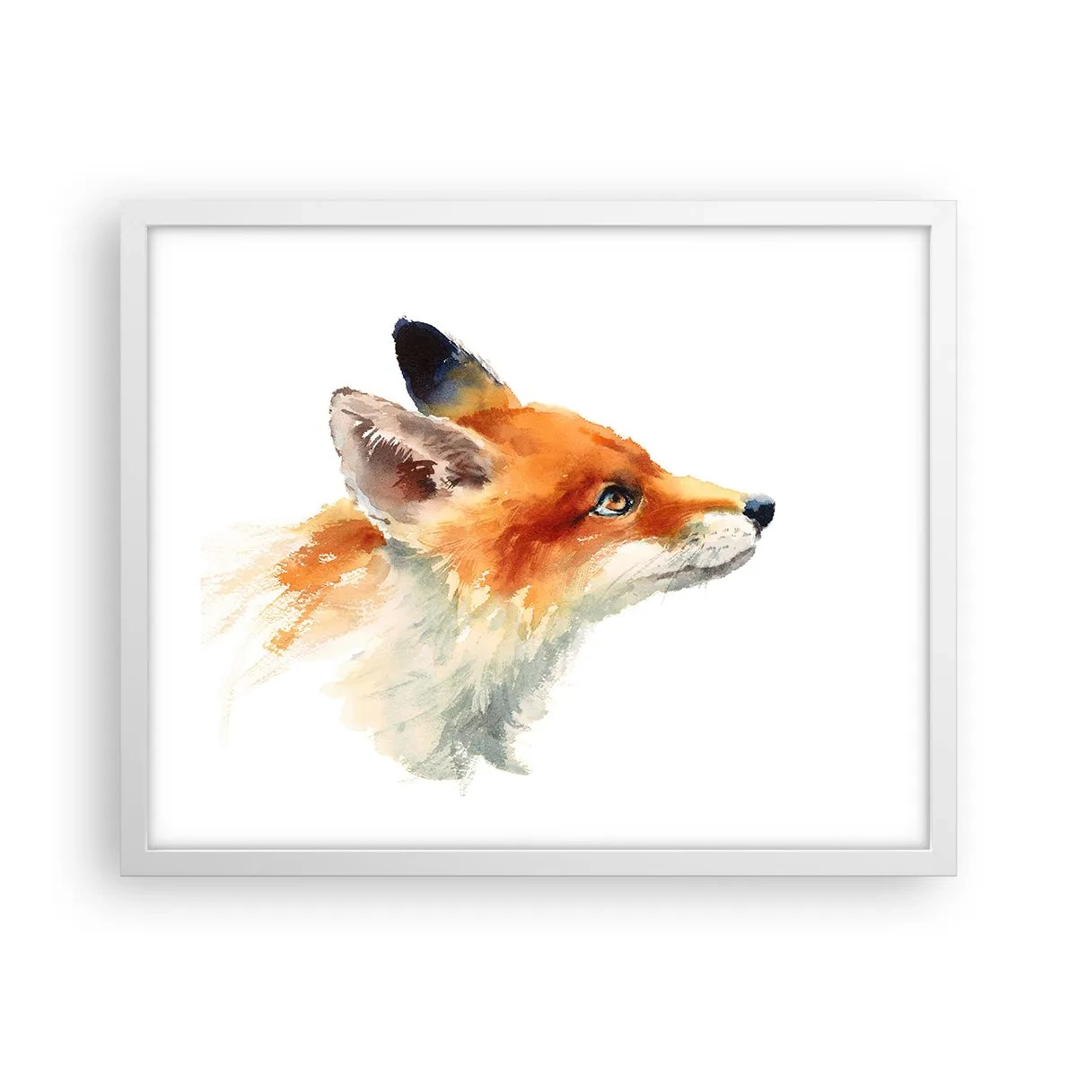 Poster in cornice bianca - La prudenza non è mai troppa - 50x40 cm