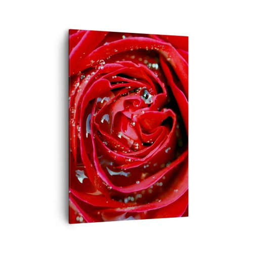 Quadro su tela - Stampe su Tela - Primo piano di una rosa rossa con gocce d'acqua sui petali - 70x100cm - Nelle gocce della rugiada - Decorazione murale moderna per soggiorno e camera da letto ARTTOR
