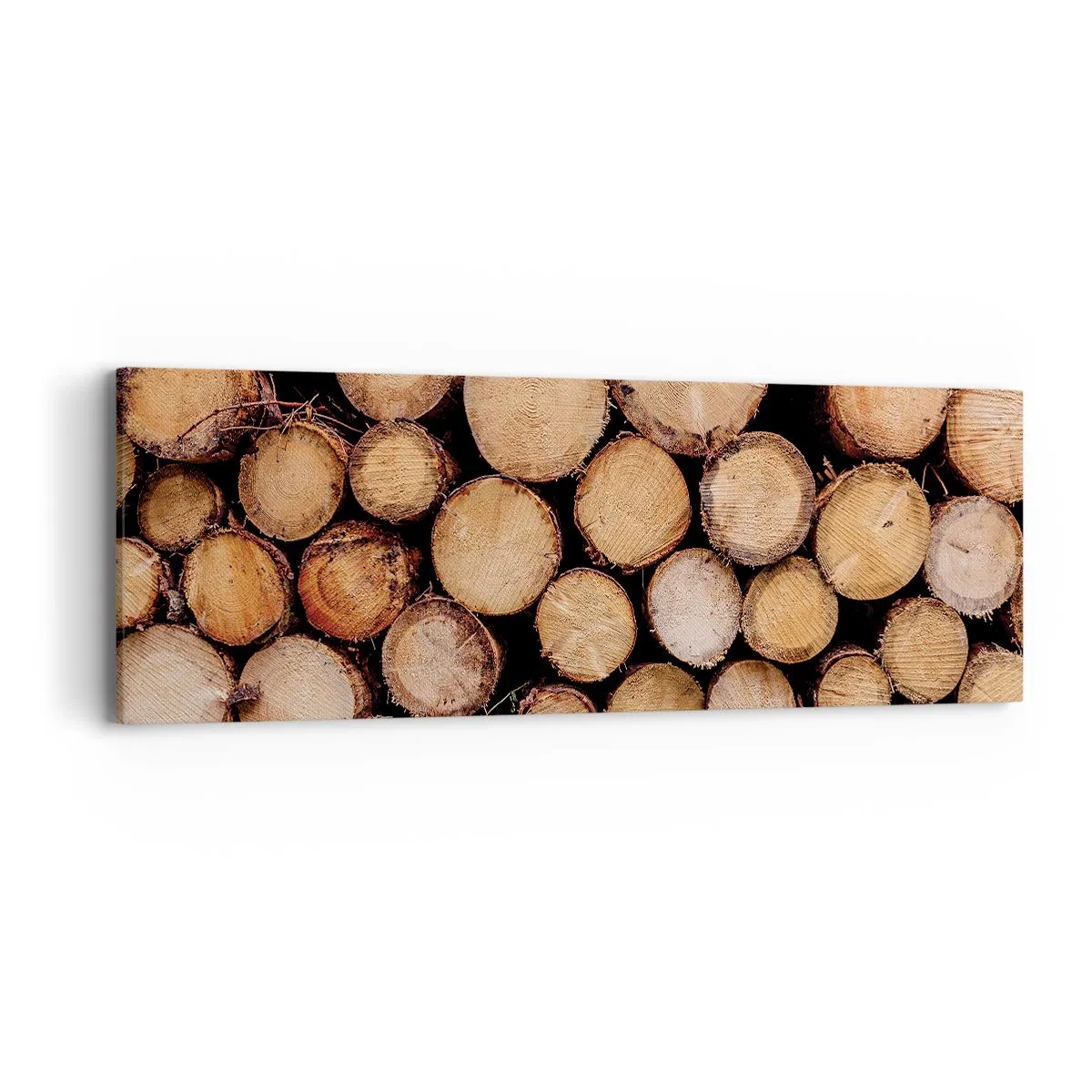 Quadro su tela - Stampe su Tela - Nuovo inizio - 90x30 cm