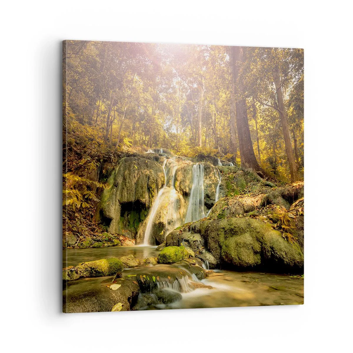 Quadro su tela - Stampe su Tela - Cascata boschiva in verde - 60x60 cm