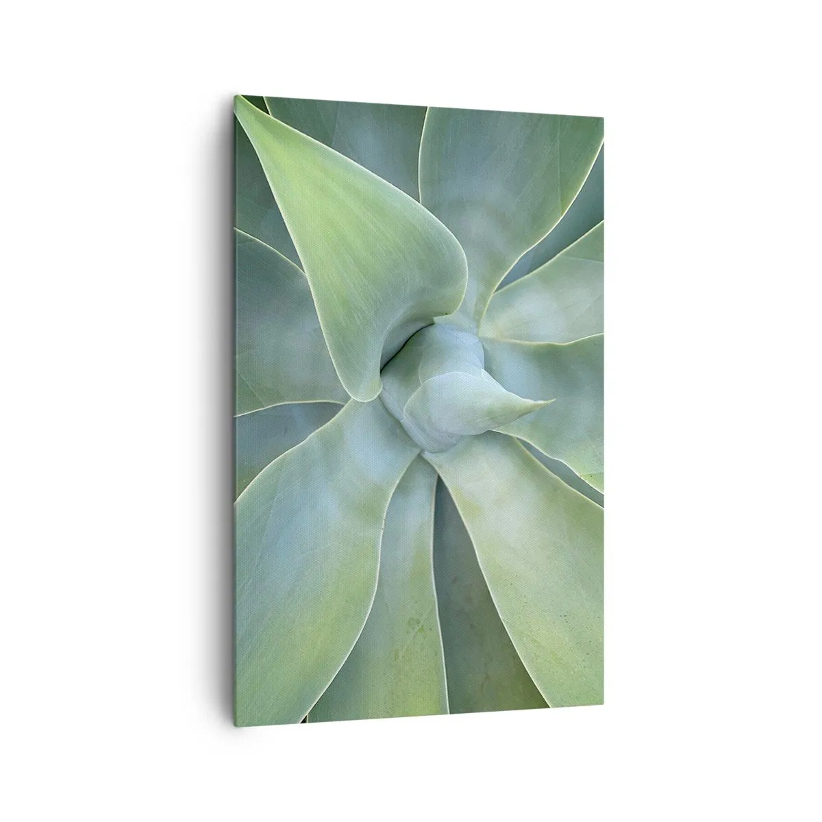 Quadro su tela - Stampe su Tela - Foglie di agave delicate in tonalità di verde - 80x120cm - La nascita del verde - Decorazione murale moderna per soggiorno e camera da letto ARTTOR