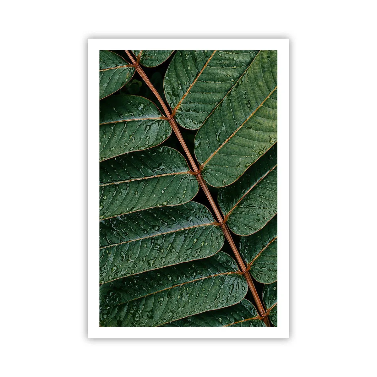 Poster - Al ritmo verde - 61x91 cm