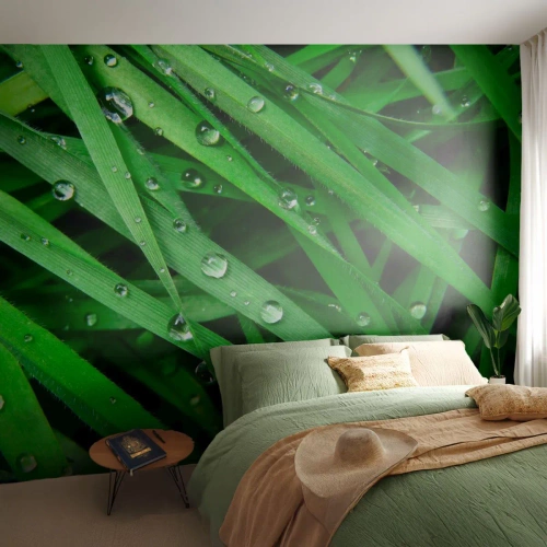 Fotomurali Premium Sand - Erba verde ricoperta di gocce di rugiada - 100x70cm - Giocando con il verde - Decorazione murale moderna per soggiorno e camera da letto ARTTOR
