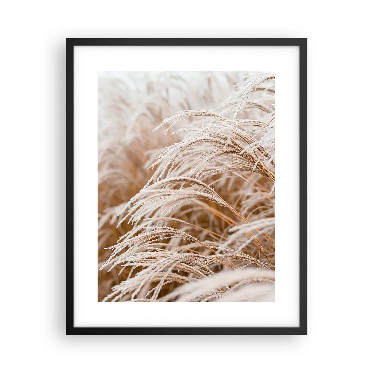 Poster in cornice nera - Inchino al sole d'autunno - 40x50 cm